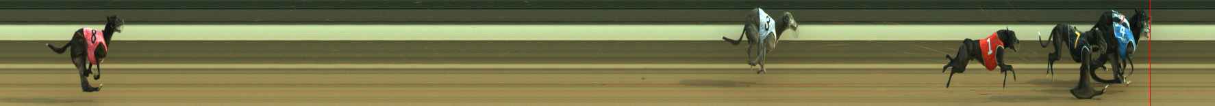 Photo finish for Warragul Race 12