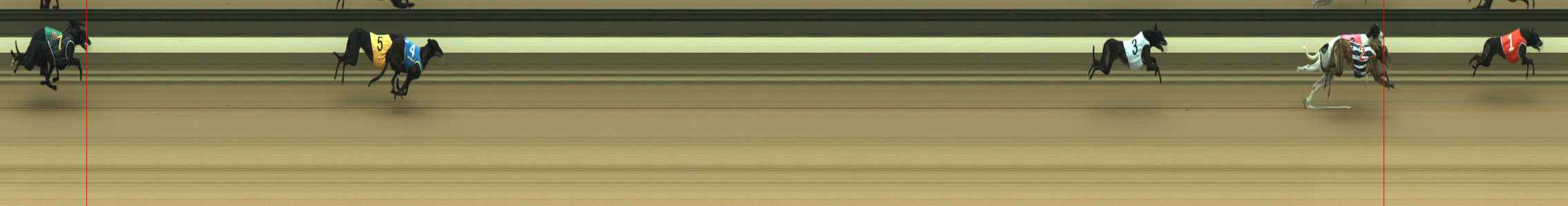 Race result finish photo