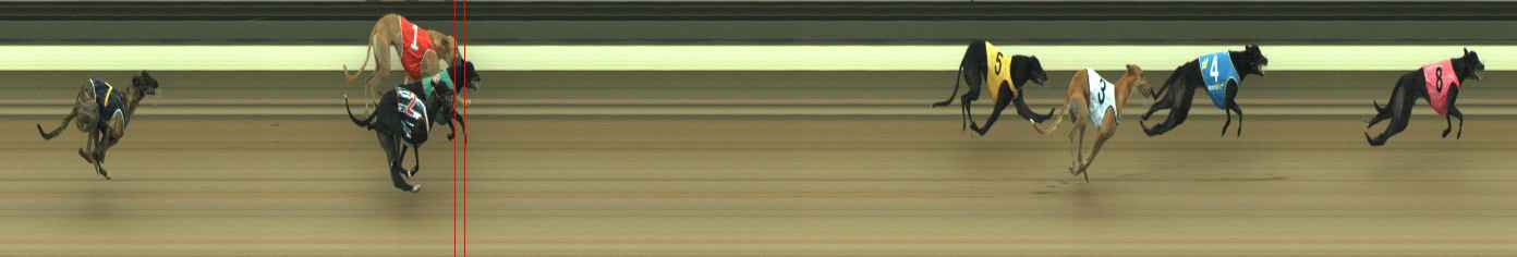 Photo finish for Warragul Race 2