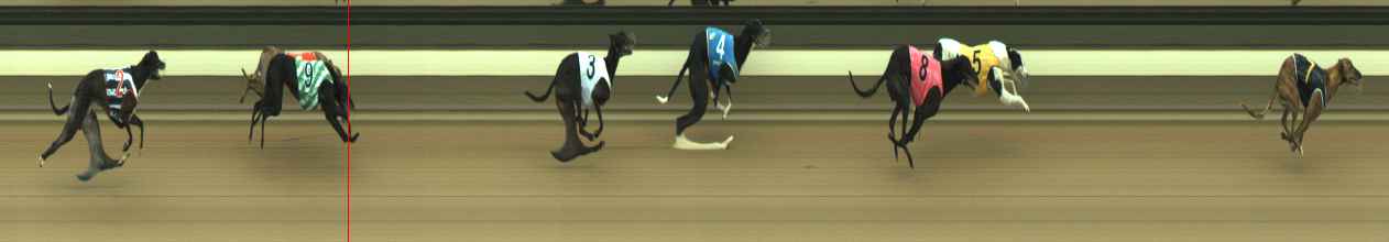 Photo finish for Warragul Race 3
