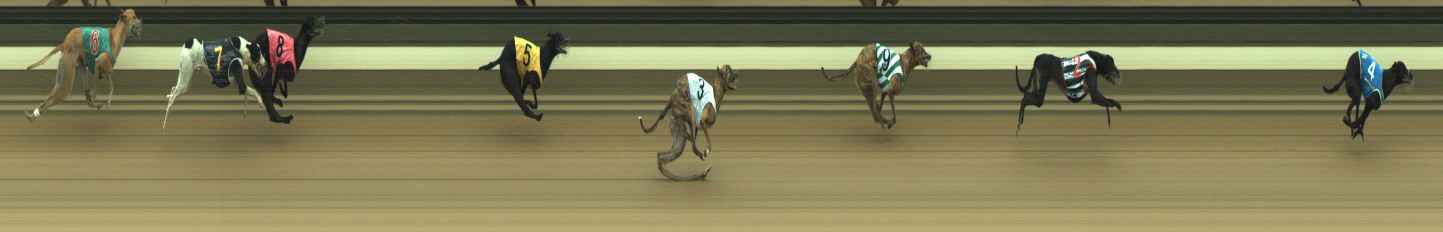 Photo finish for Warragul Race 4