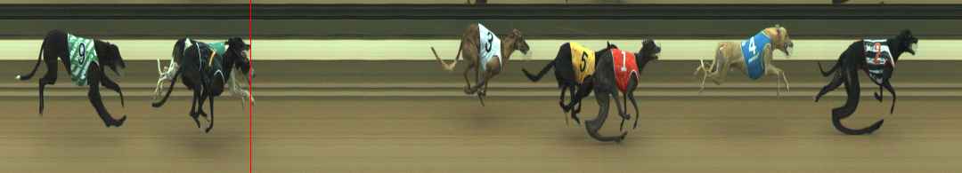 Photo finish for Warragul Race 5