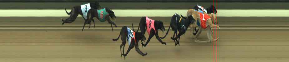 Photo finish for Warragul Race 6