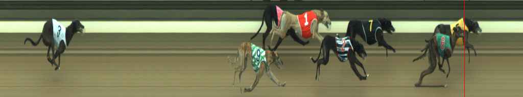 Photo finish for Warragul Race 8