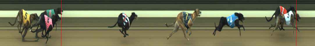 Photo finish for Warragul Race 9