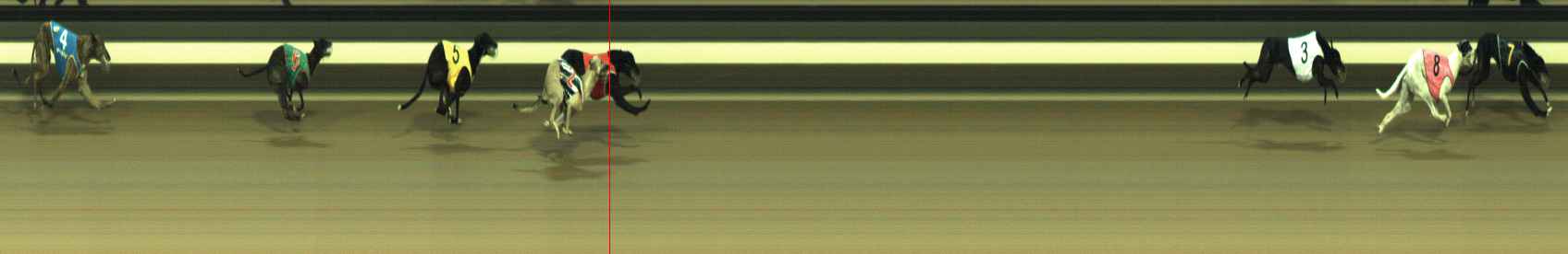 Photo finish for Warragul Race 12