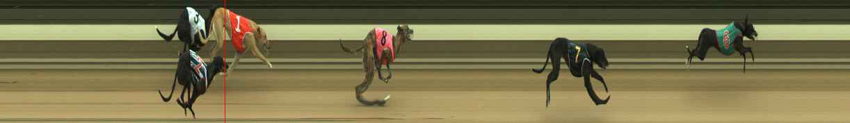 Photo finish for Warragul Race 1