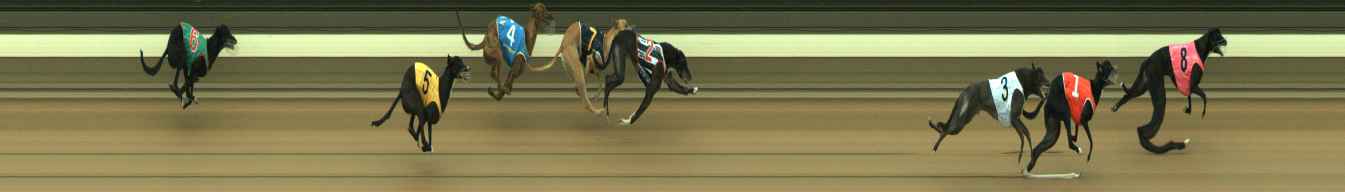 Photo finish for Warragul Race 2