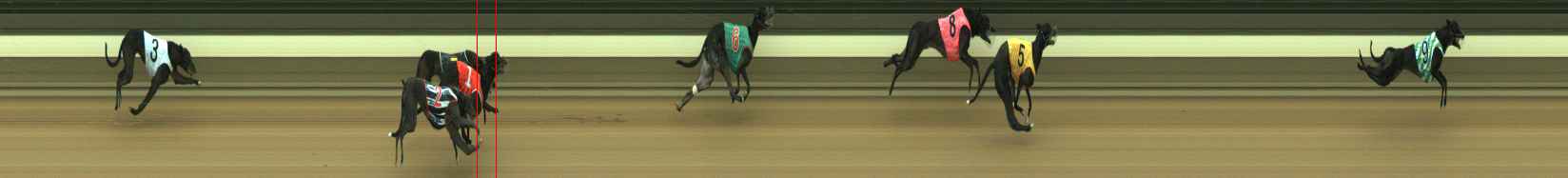Photo finish for Warragul Race 3