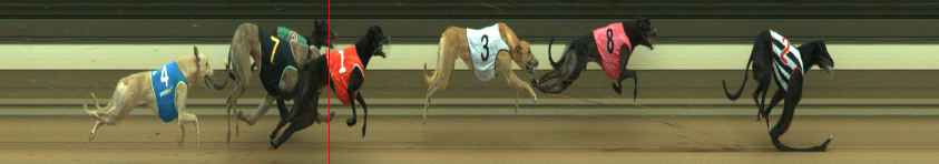 Photo finish for Warragul Race 4