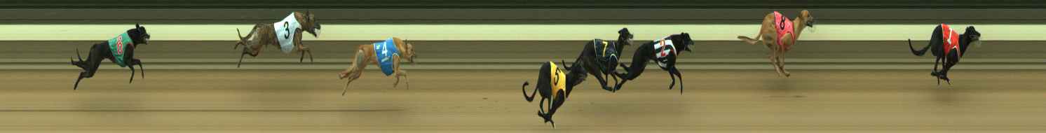 Photo finish for Warragul Race 5