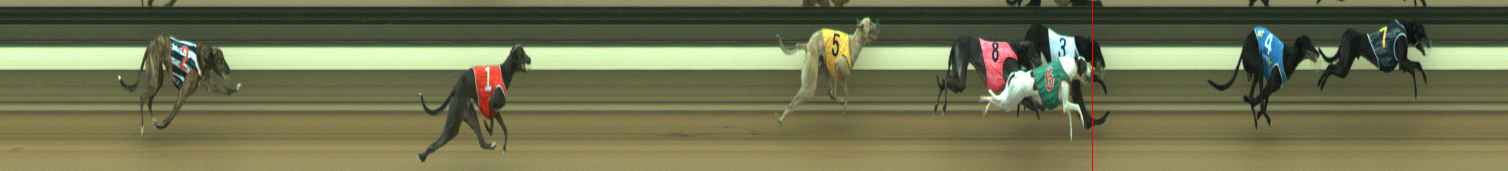 Photo finish for Warragul Race 7
