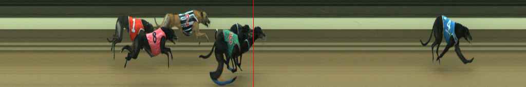 Photo finish for Warragul Race 8