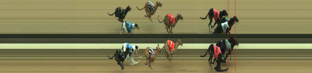 Photo finish for Warragul Race 9
