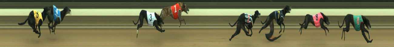 Photo finish for Warragul Race 10