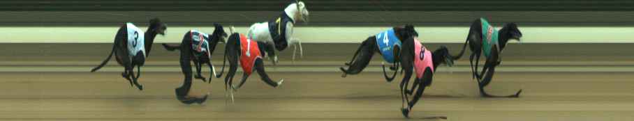 Photo finish for Warragul Race 11