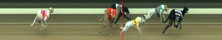 Photo finish for Warragul Race 12