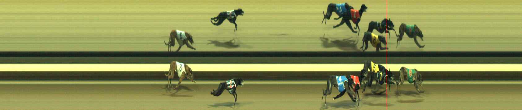 Photo finish for Warragul Race 3