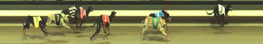 Photo finish for Warragul Race 5