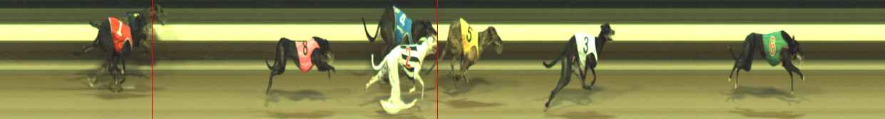 Photo finish for Warragul Race 6