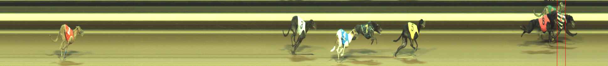 Photo finish for Warragul Race 7