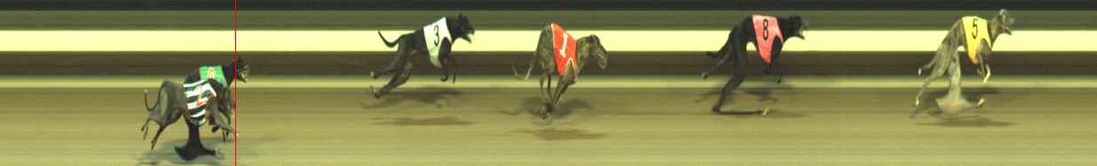 Photo finish for Warragul Race 8