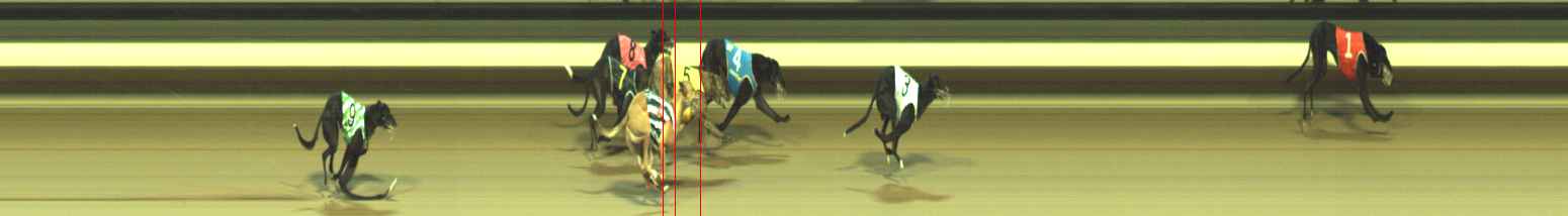 Photo finish for Warragul Race 9