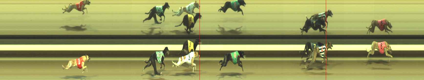 Photo finish for Warragul Race 11