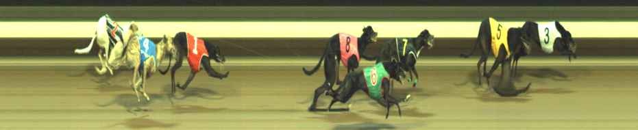 Photo finish for Warragul Race 12