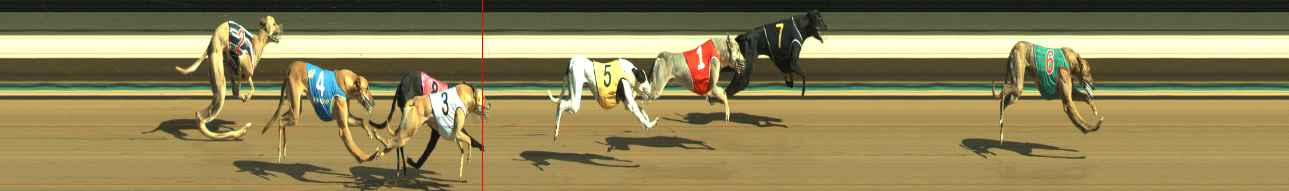 Photo finish for Warragul Race 3