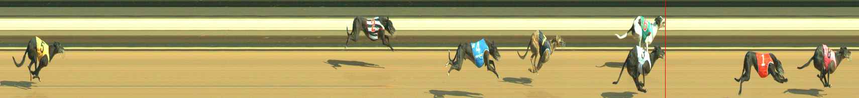 Photo finish for Warragul Race 4