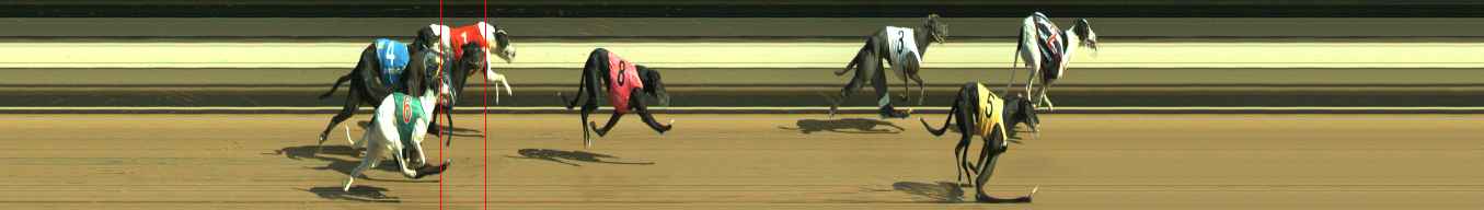Photo finish for Warragul Race 5