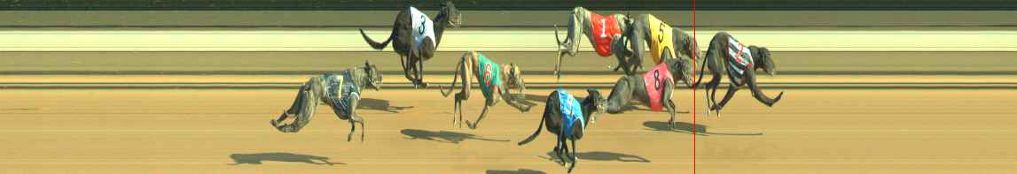 Photo finish for Warragul Race 6