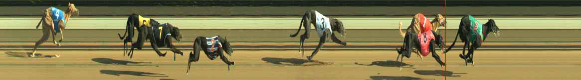 Photo finish for Warragul Race 7