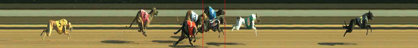 Photo finish for Warragul Race 9