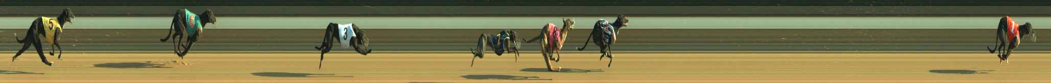 Photo finish for Warragul Race 10