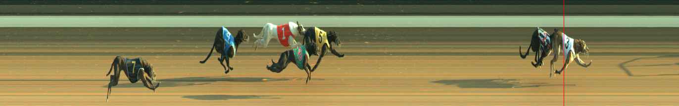 Photo finish for Warragul Race 11
