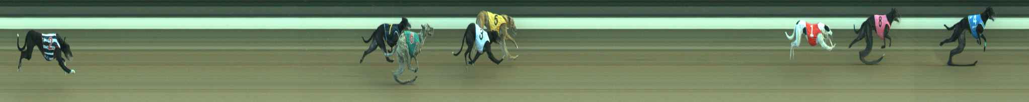Photo finish for Warragul Race 12