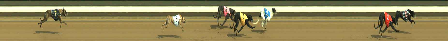 Photo finish for Warragul Race 2