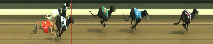 Photo finish for Warragul Race 3