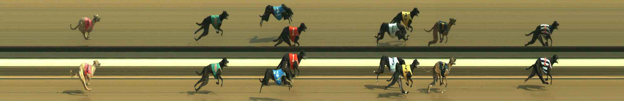 Photo finish for Warragul Race 4