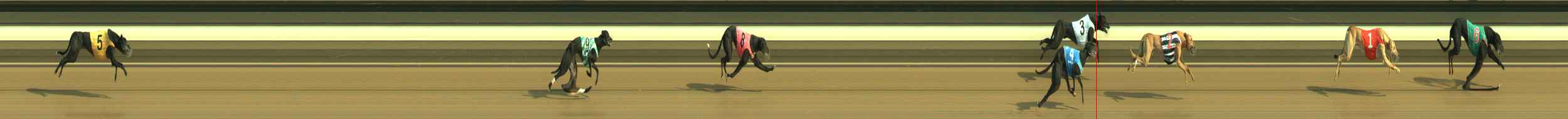 Photo finish for Warragul Race 5