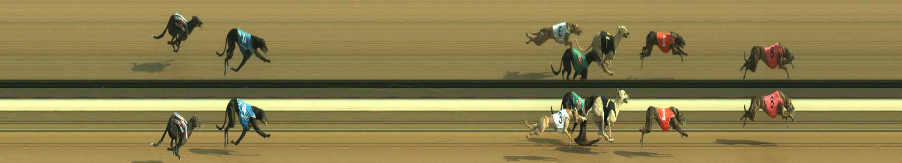 Photo finish for Warragul Race 6