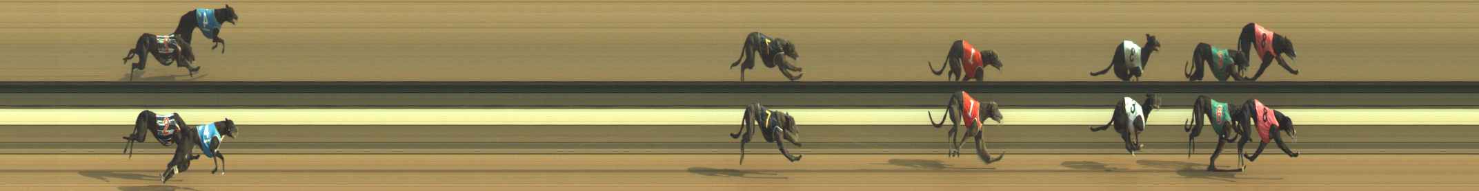 Photo finish for Warragul Race 7
