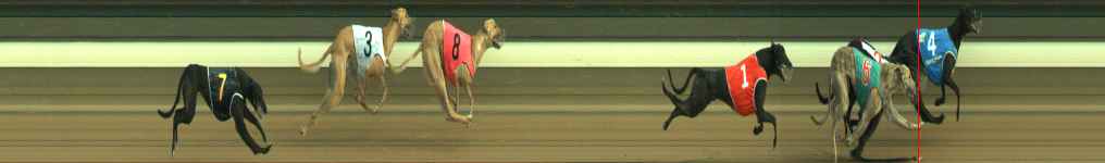 Photo finish for Warragul Race 8