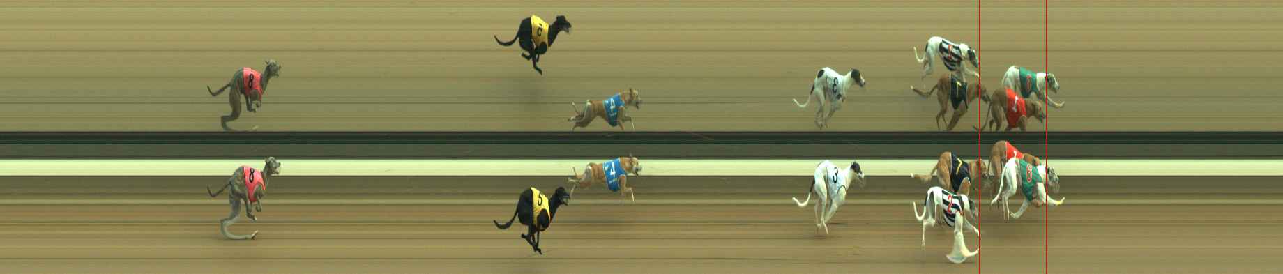 Photo finish for Warragul Race 9