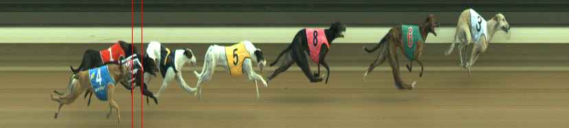 Photo finish for Warragul Race 10