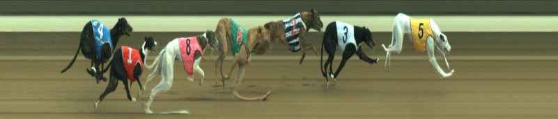 Photo finish for Warragul Race 11