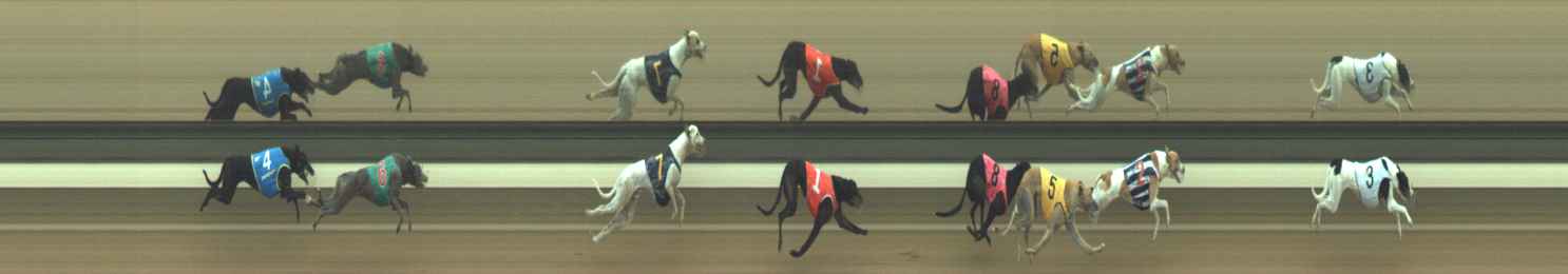 Photo finish for Warragul Race 12