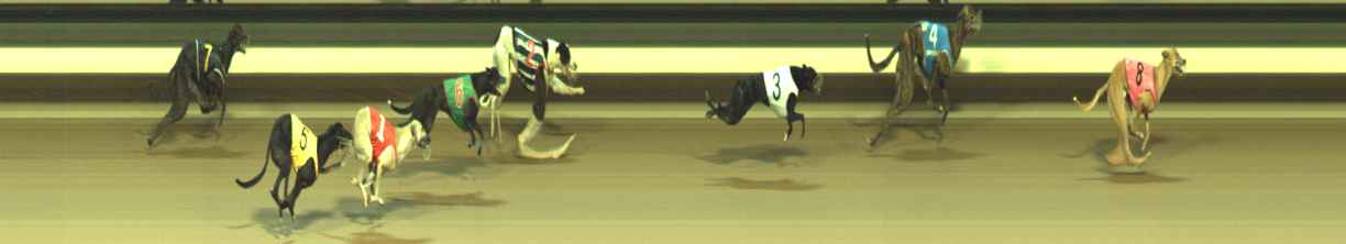 Photo finish for Warragul Race 3